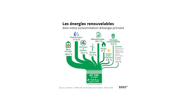 Chiffres clés des énergies renouvelables - Édition 2025
