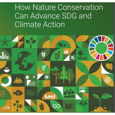Comment la conservation de la nature peut faire progresser les ODD et l'action climatique