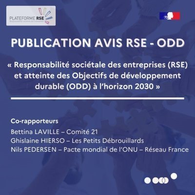 Publication avis RSE - ODD. Plateforme RSE - France stratégie