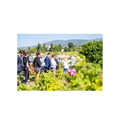 Grasse biodiversité