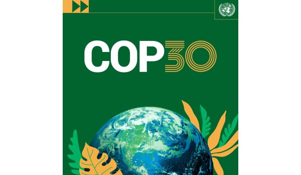 Affiche COP 30