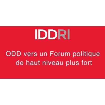 logo de l'Iddri (L'Institut du développement durable et des relations internationales)