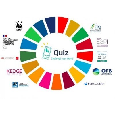 quiz -challenge your teams