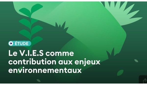 ÉTUDE · Le Volontariat international d'échange et de solidarité comme contribution aux enjeux environnementaux