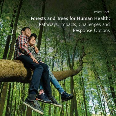 Rapport "Les forêts et les arbres pour la santé humaine"