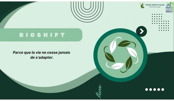 Logo de Bioshift, rond vert au contour vert canard et au remplissage uni vert d'eau avec des symboles de feuilles vertes et blanches. Le slogan est "Parce que la vie ne cesse jamais de s'adapter". 