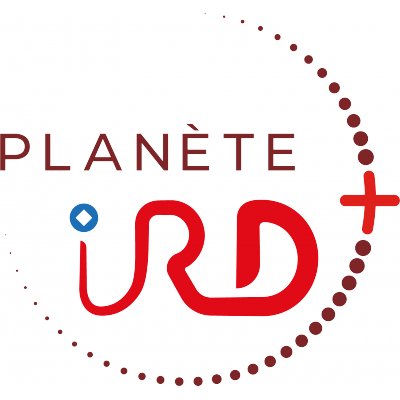 IRD - Le serious game Villes en questions, l'IRD (Institut de recherche pour le développement) place les jeunes au cœur de la réflexion sur l'avenir urbain.