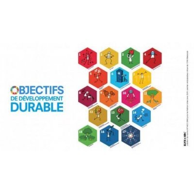 Pour chaque objectif de développement durable, une illustration avec Elyx est proposée