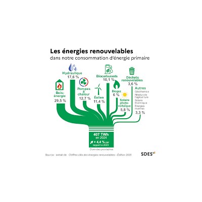 Chiffres clés des énergies renouvelables - Édition 2025