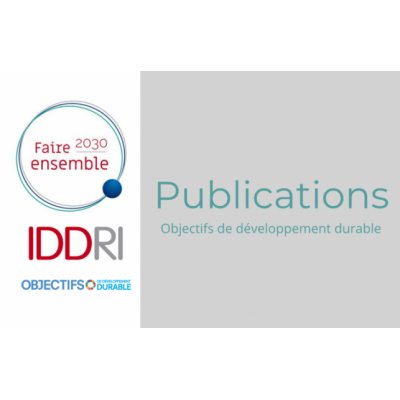 Logo_Publication_ODD_Fonda_IDDRI