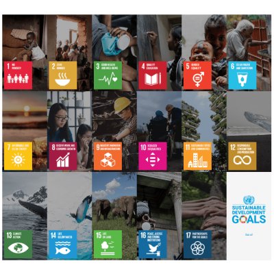 The 17 Sustainable Development Goals (SDGs) on the ONU'swebsite