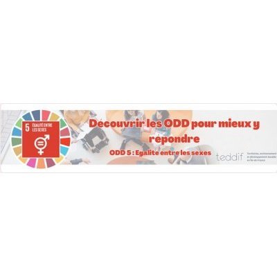 Webinaire « Découvrir les ODD pour mieux y répondre » organisé par le réseau TEDDIF