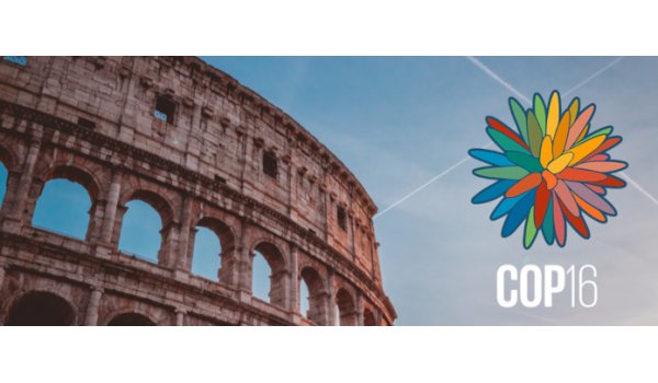 16e Conférence des Parties (COP 16) à Rome