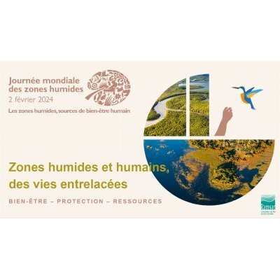 Journée mondiale des zones humides 2 février 2024 Les zones humides, sources de bien-être humain zones humides et humains, des vies entrelacées Bien-être - protection - ressources 