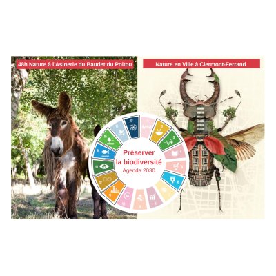 SEDD n°11 - Préserver la biodiversité