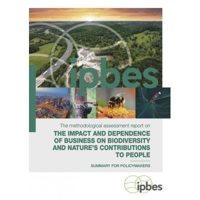Rapport d'évaluation méthodologique sur l'impact et la dépendance des entreprises à l'égard de la biodiversité et des services écosystémiques rendus à l'humanité