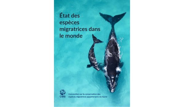 Rapport « État des espèces migratrices dans le monde » publié par la Convention sur la conservation des espèces migratrices appartenant à la faune sauvage