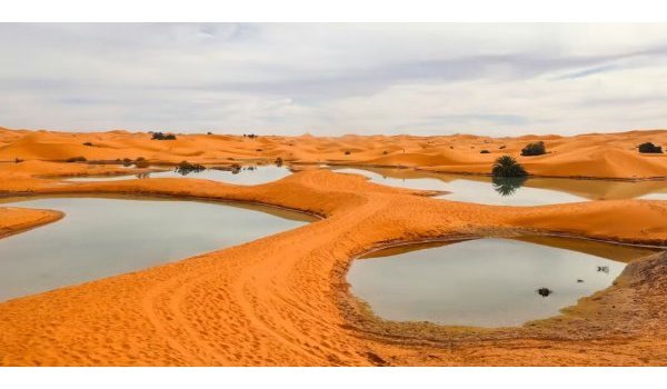 Environmental Photographer of the Year 2025 : Remembering The Rain : The Lagoons Of Erg Znagui - Finaliste