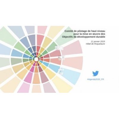 Visuel de présentation du Comité de pilotage de haut niveau pour la mise en oeuvre des Objectifs de développement durable