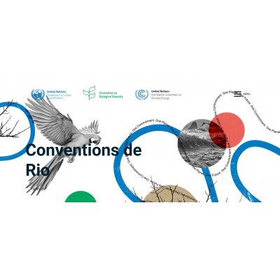 Portail commun aux trois Conventions