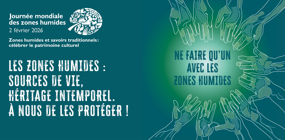  Journée mondiale des zones humides 2026
