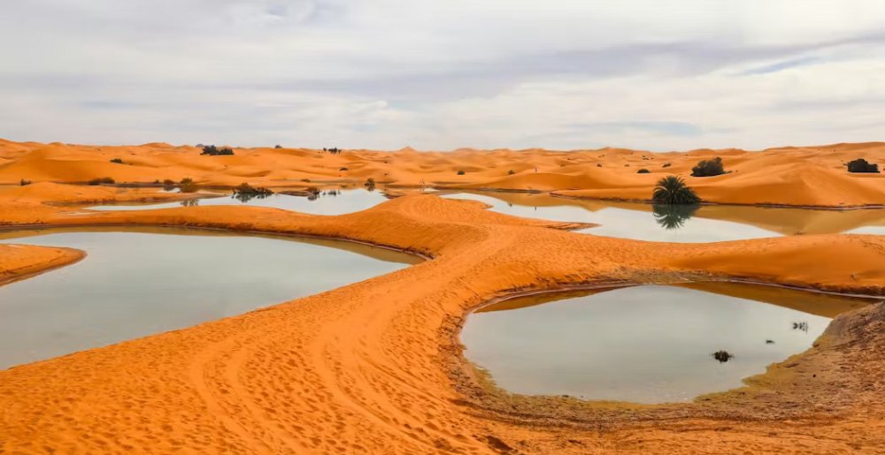 Environmental Photographer of the Year 2025 : Remembering The Rain : The Lagoons Of Erg Znagui - Finaliste