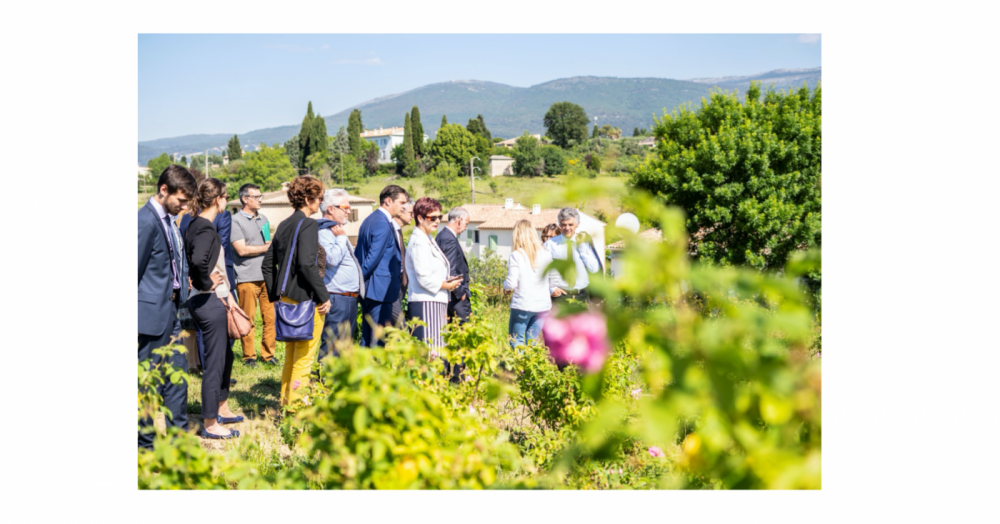 Grasse biodiversité