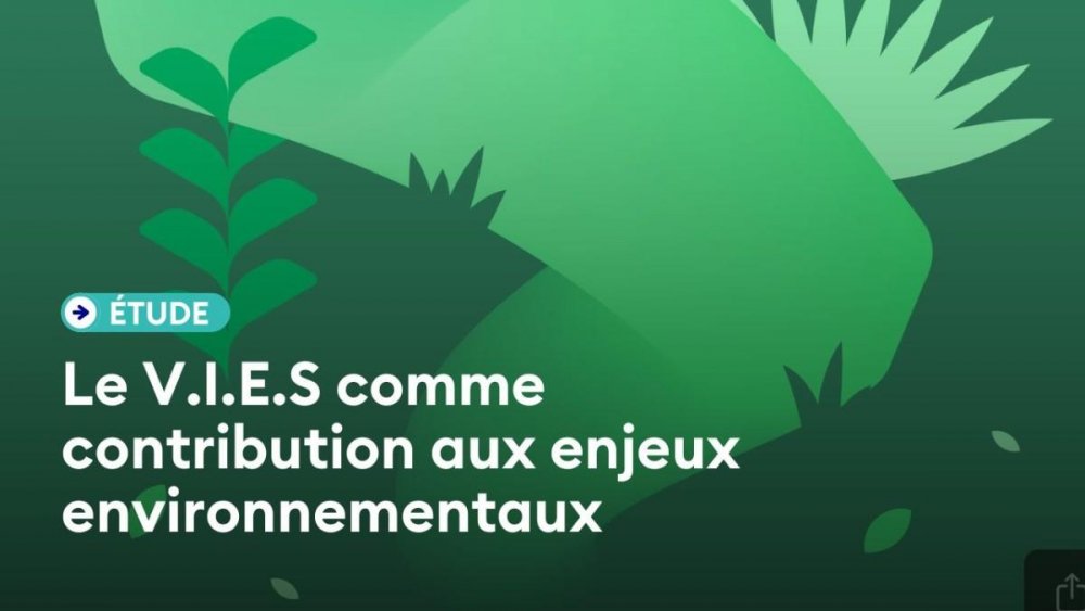ÉTUDE · Le Volontariat international d'échange et de solidarité comme contribution aux enjeux environnementaux