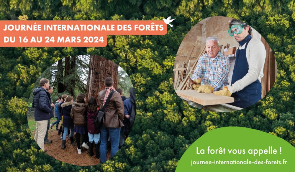 Journée internationale des forêts