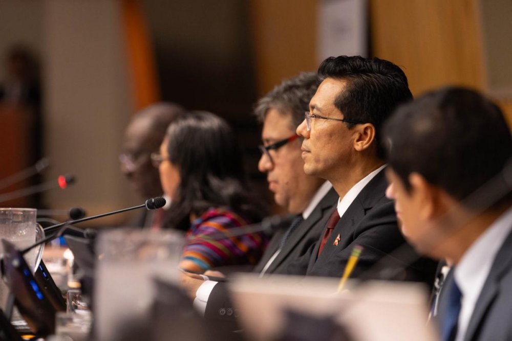 Lok Bahadur Thapa , vice-président du Conseil économique et social des Nations Unies (ECOSOC), convoque la première session d'examen des ENV