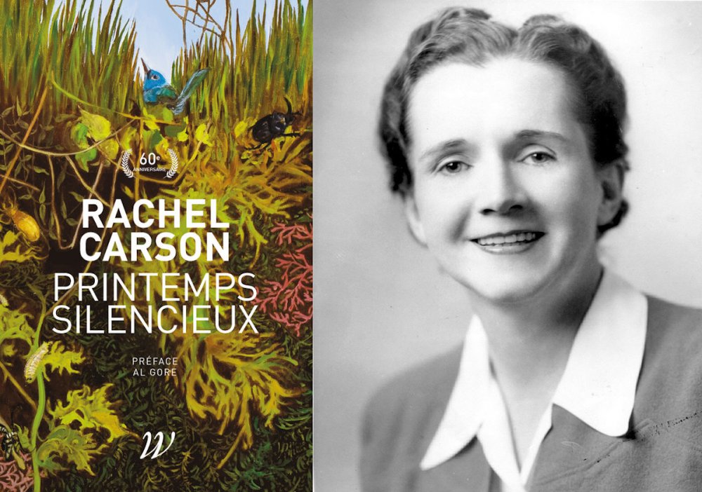 Ouvrage de Rachel Carson : « Printemps silencieux »