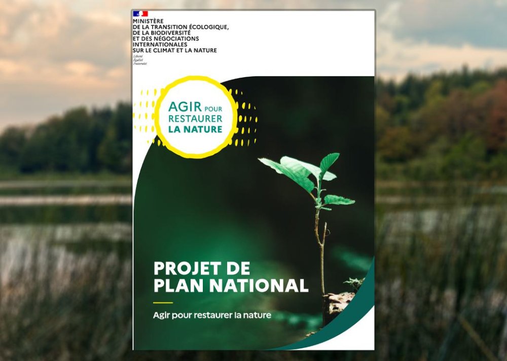 Le projet de plan national de restauration de la nature