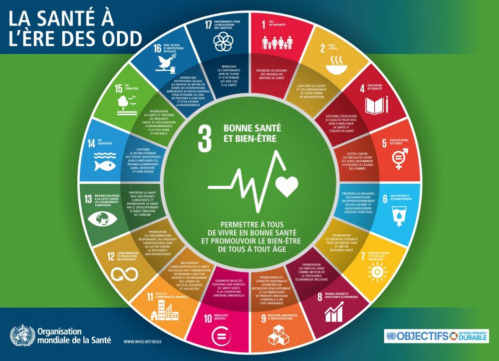 Maquette des interrelations entre ODD sur la santé - Organisation mondiale de la Santé (OMS)