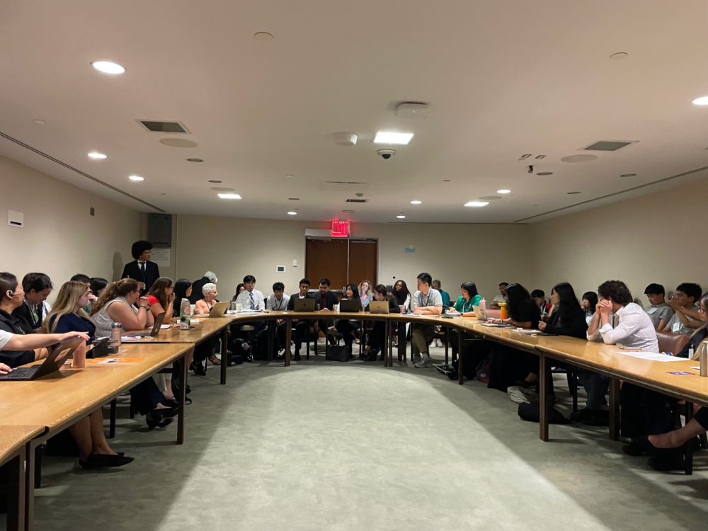Evènement parallèle Volontariat vu de la salle conférence des Nations unies