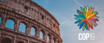 16e Conférence des Parties (COP 16) à Rome