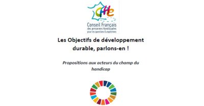 Livret CFHE (Le Conseil Français des Personnes Handicapées pour les Questions Européennes)