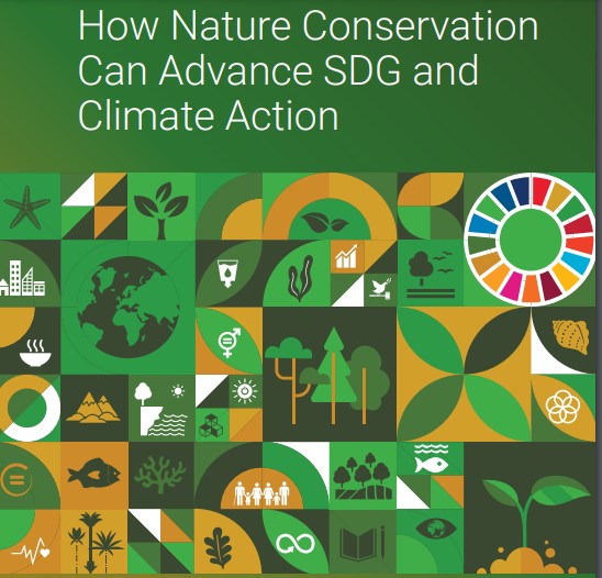 Comment la conservation de la nature peut faire progresser les ODD et l'action climatique