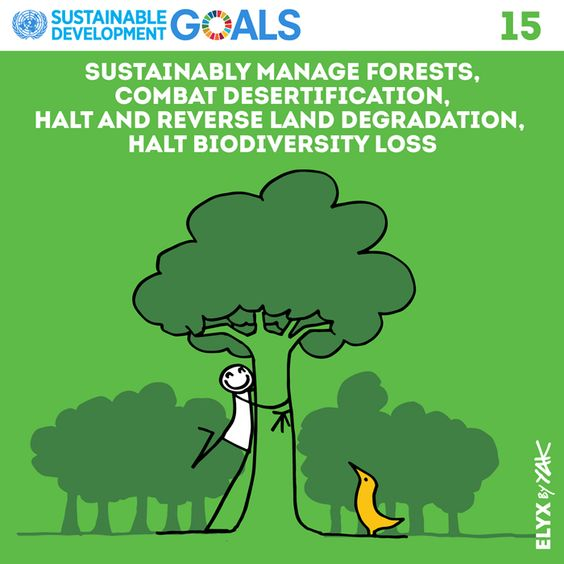 SDG 15 - Protect, restore and promote sustainable use of terrestrial ecosystems