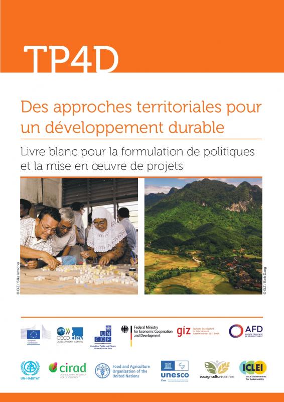 Livre blanc du Cirad : « Pour une perspective territoriale du développement »