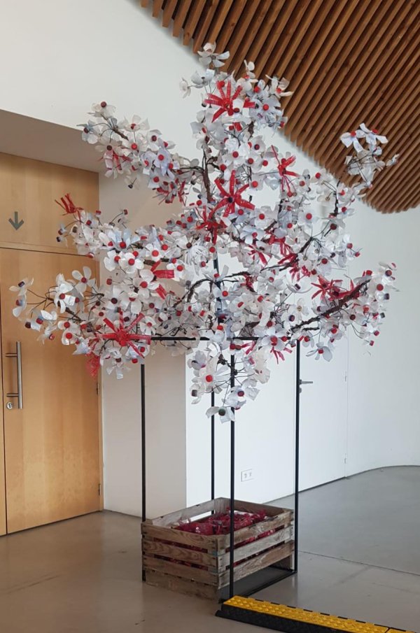 Quand l'art œuvre en faveur du développement durable : l'exemple du collège de Misedon