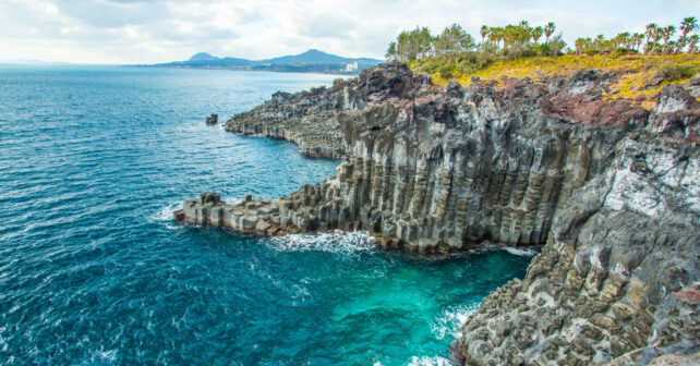 L'île de Jeju (Corée) accueillera la « Journée mondiale de l'environnement 2025 »