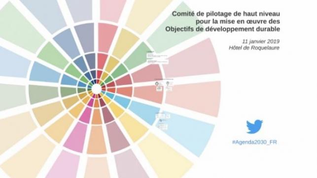 Visuel de présentation du Comité de pilotage de haut niveau pour la mise en oeuvre des Objectifs de développement durable