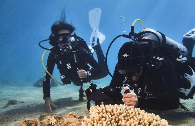 Plongée sous-marine et Energy Observer