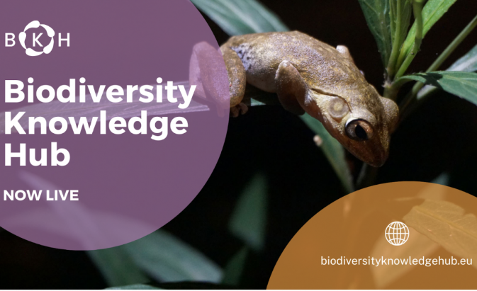 Le Centre de connaissances sur la biodiversité (Biodiversity Knowledge Hub) de la FAO