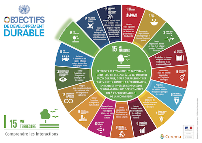 Schéma des interactions de l'ODD15