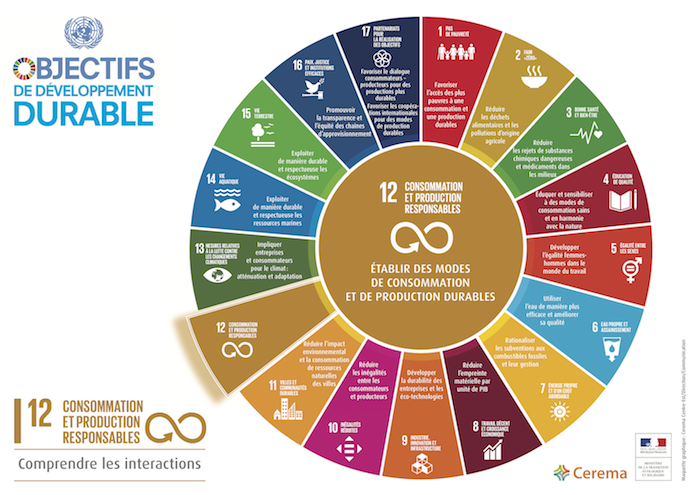 Schéma des interactions de l'ODD12