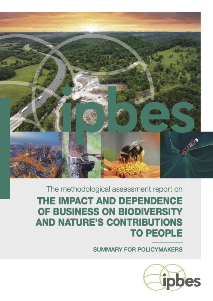 Rapport d'évaluation méthodologique sur l'impact et la dépendance des entreprises à l'égard de la biodiversité et des services écosystémiques rendus à l'humanité