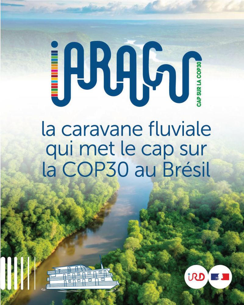 IARAÇU : la caravane fluviale qui met le cap sur la COP30 au Brésil