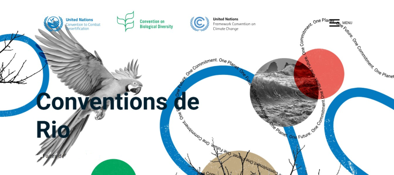 Portail commun aux trois Conventions