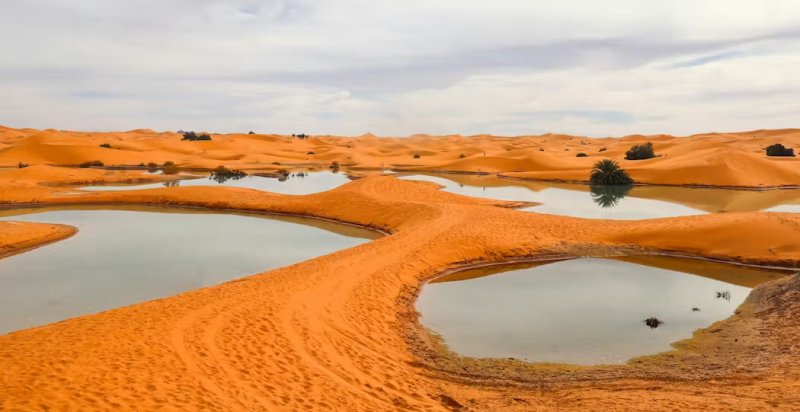 Environmental Photographer of the Year 2025 : Remembering The Rain : The Lagoons Of Erg Znagui - Finaliste